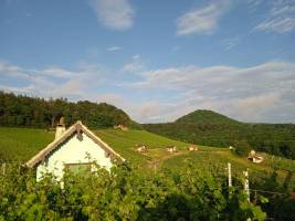 Himmlische Übernachtung mit Weinpanorama im Herzen Frankens