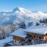 Résidence les Chalets des pistes