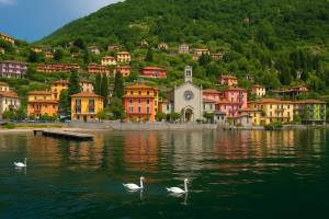 Residence Eden Magnolia 15