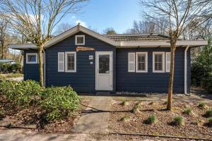 Dotterbloem Chalet | 4 personen