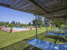 Fattoria Petraglia - Cedro