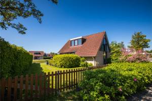 HVZ Orchis Wellness 6p