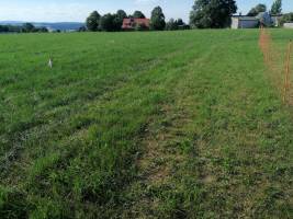 Naturcamping mit Fichtelgebirgs-Panorama