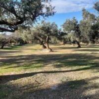 Finca Ermita