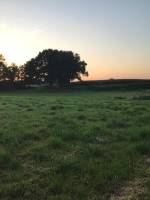 Naturcamping nahe der Elbmündung