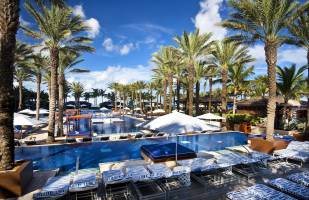 The Cove at Atlantis