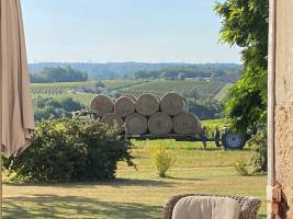 Dominanter Blick auf die Weinberge von Bordeaux für unvergesslic