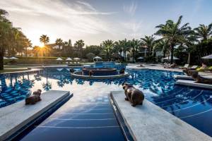 Palm Garden Resort