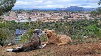 Ruhig mit toller Aussicht. Herz der spanischen Landschaft