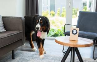 Premium Lodge I 6 personen (60 m²) - Met Airco - Honden toegelat