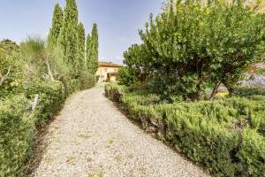 Villa Salivolpe Amazing Chianti View 8