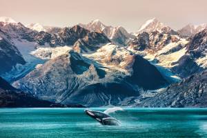 Cruise Wonderen van Alaska