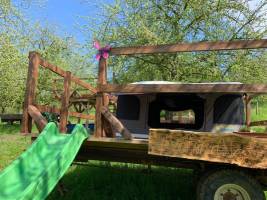 Dachzelt Camp Bodensee - schlafen unter den Apfelbäumen