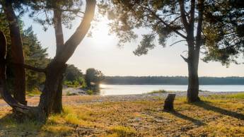 De Boskar Peer Hotel