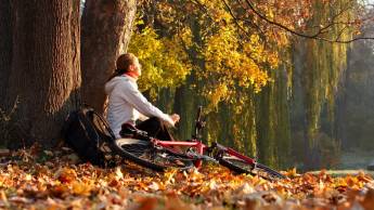 Fletcher Wellness-Hotel De Hunzebergen