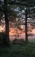 Campspace in Nortrup, Niedersachsen