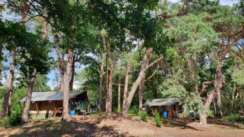 Vodatent Camping het Horstmannsbos