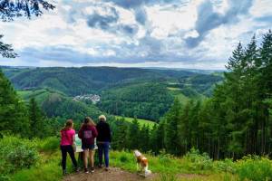 Camping Floreal La Roche En Ardenne