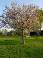 Kurzurlaub in Fumichon, Normandie