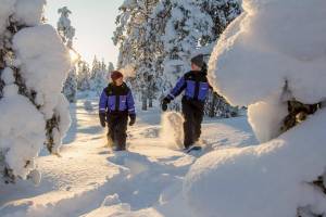 8-daagse wintervakantie Fins Lapland - Rovaniemi - Rendieren en 