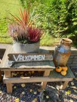 Casa Gräppås – Entspanntes Camping im Wald