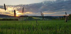 Lindner Ferienpark Nurburgring