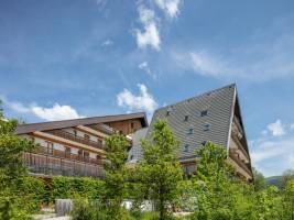 Les Gentianes Chalet 3p6p