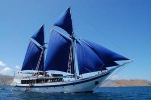 Cruise Ombak Putih of Katharina: 8 dagen varanen, walvishaaien &