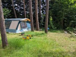 Campingplatz in Balen, Antwerpen