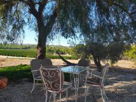 Gemütlich und familiär, Ihr Campspace mit Blick in die Natur