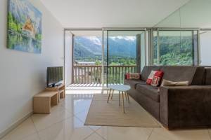 Riverside Apartment Mont Blanc View