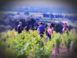 Übernachten Sie im Château des Fines Roches: Ruhige Nächte im Wo