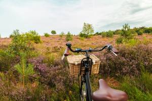 Hotel Oringer Marke & Stee | Miniurlaub: Erkunden Sie die schöns