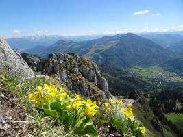 Autovakantie Beierse Woud - Hotel Dreiburgensee