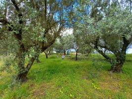 Campingplatz in Leiria, Leiria