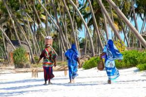 9 daagse safari Selous & Zanzibar
