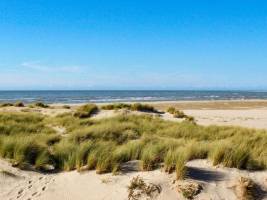 Camping Domaine de La Pinede