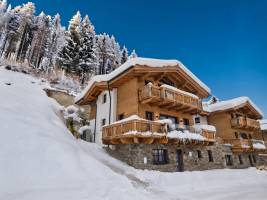 Alpen Villa Danica