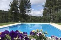 Cepo Verde