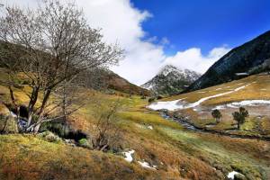 Chambre quadruple Hôtel Austria