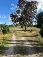 Blick am Fuße des Pujols auf das Pferdegestüt