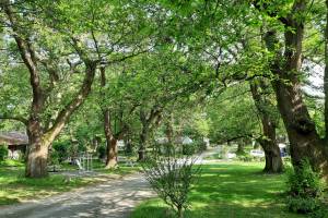 Camping Le Rural