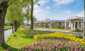 Camping Familie Resort Molenwaard
