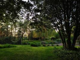 Großer, parkähnlicher Garten und Schafweide mit viel Ruhe