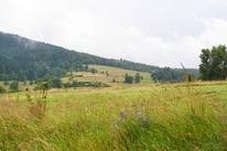 Camping Am Waldbad