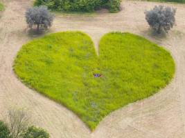 Campingplatz in Tortoreto