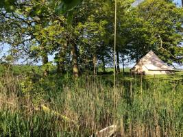 Zelten im Obstgarten von Hoopmanna's Pleats