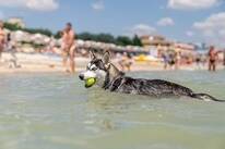 Club del Sole Le Mimose Family Resort