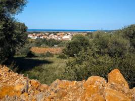 Orris camp