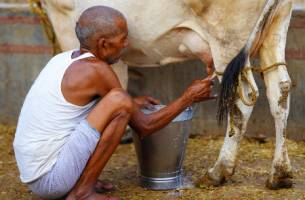 Rondreis NOORD-INDIA - 16 dagen; Bihar, Uttar Pradesh en Madhya 